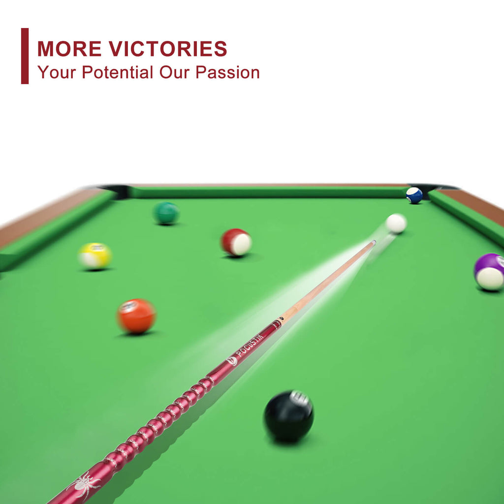billiards cue for house bar